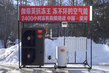 Most Freeze-Proof Air Source Heat Pumpe